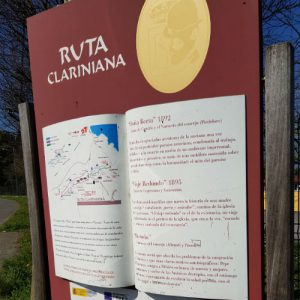 ruta clariniana blog